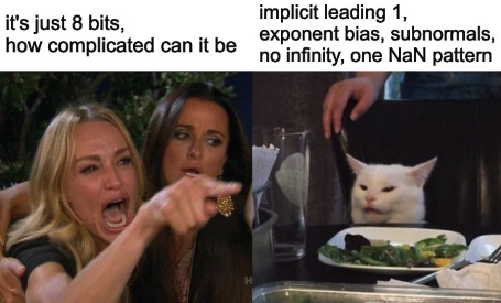 fp8-meme