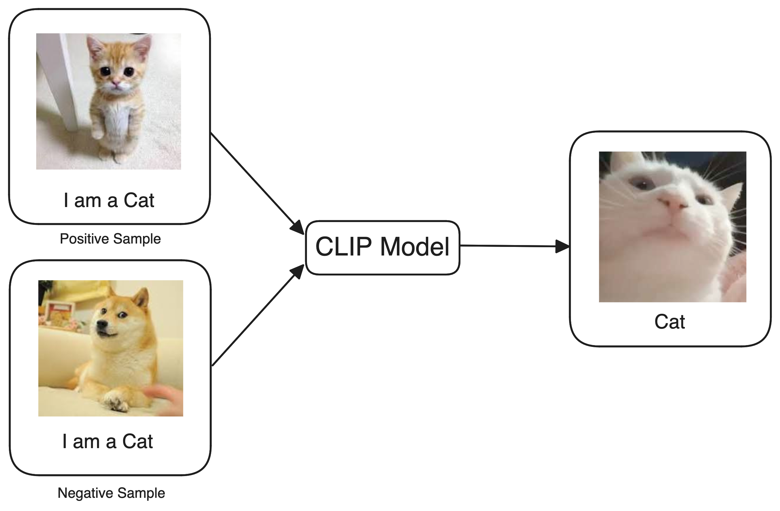 clipmodel